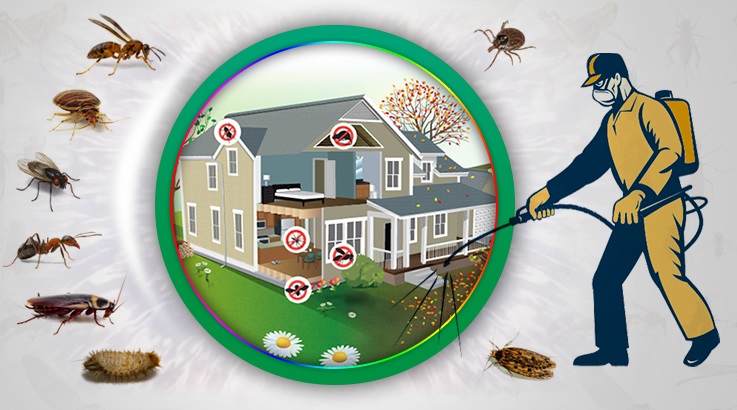 Kulu Böcek İlaçlama